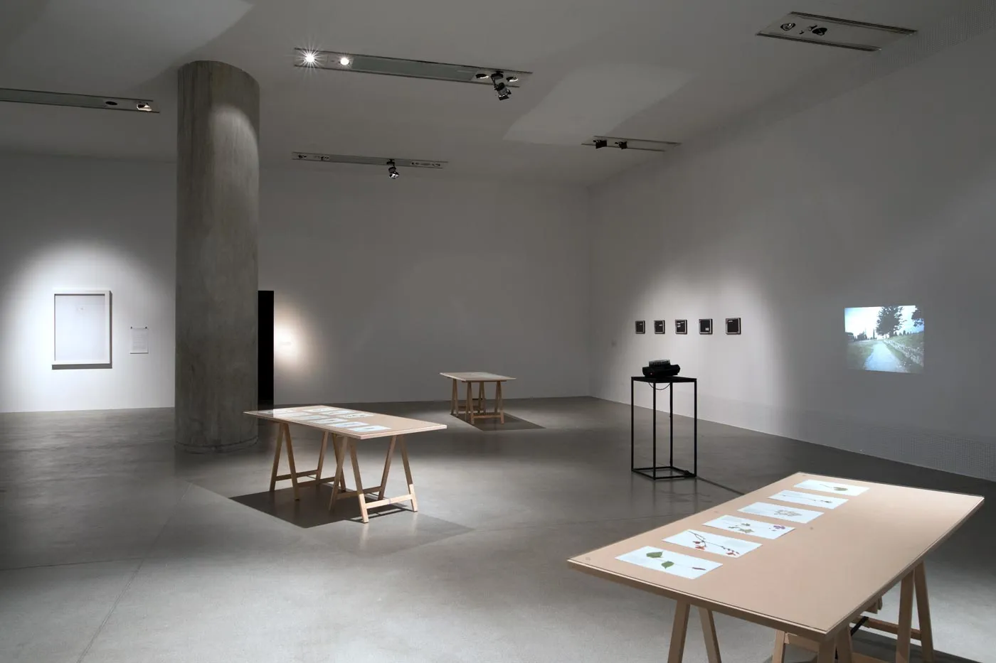 exhibition view: Pipe Dream, Kunsthalle Exnergasse, Vienna