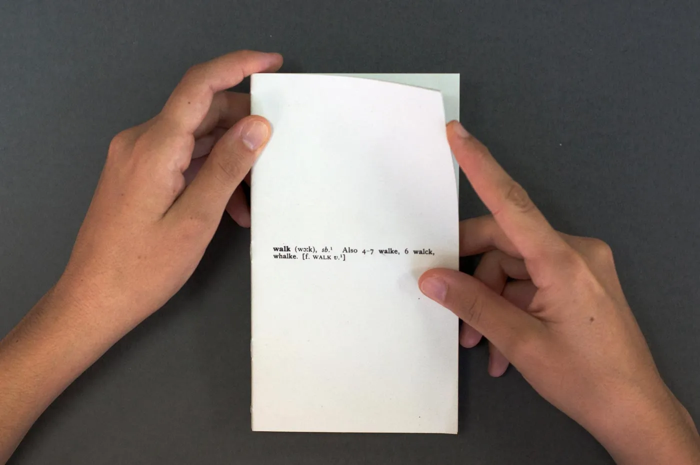 Pages from the book