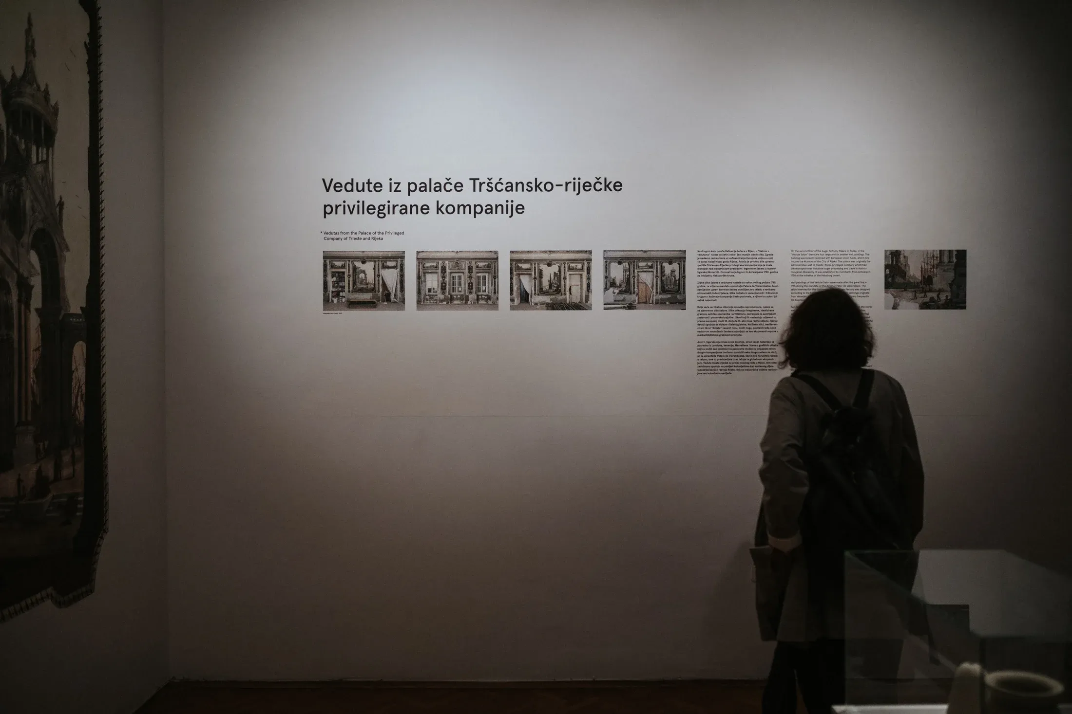 A visitor in front of a dark wall with the title of the work and a row of small framed images
