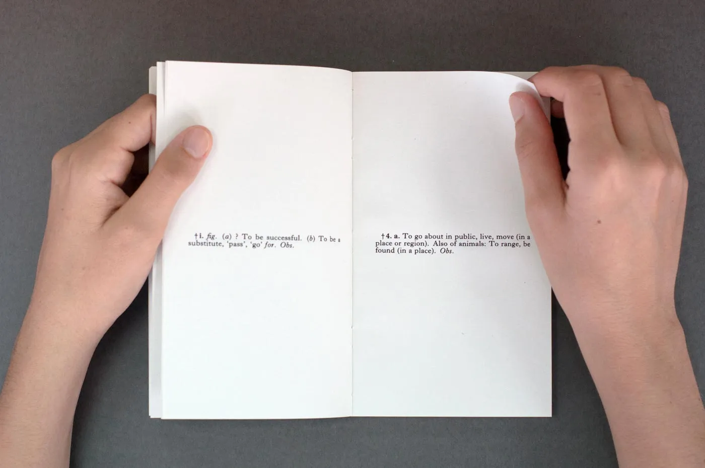 Pages from the book