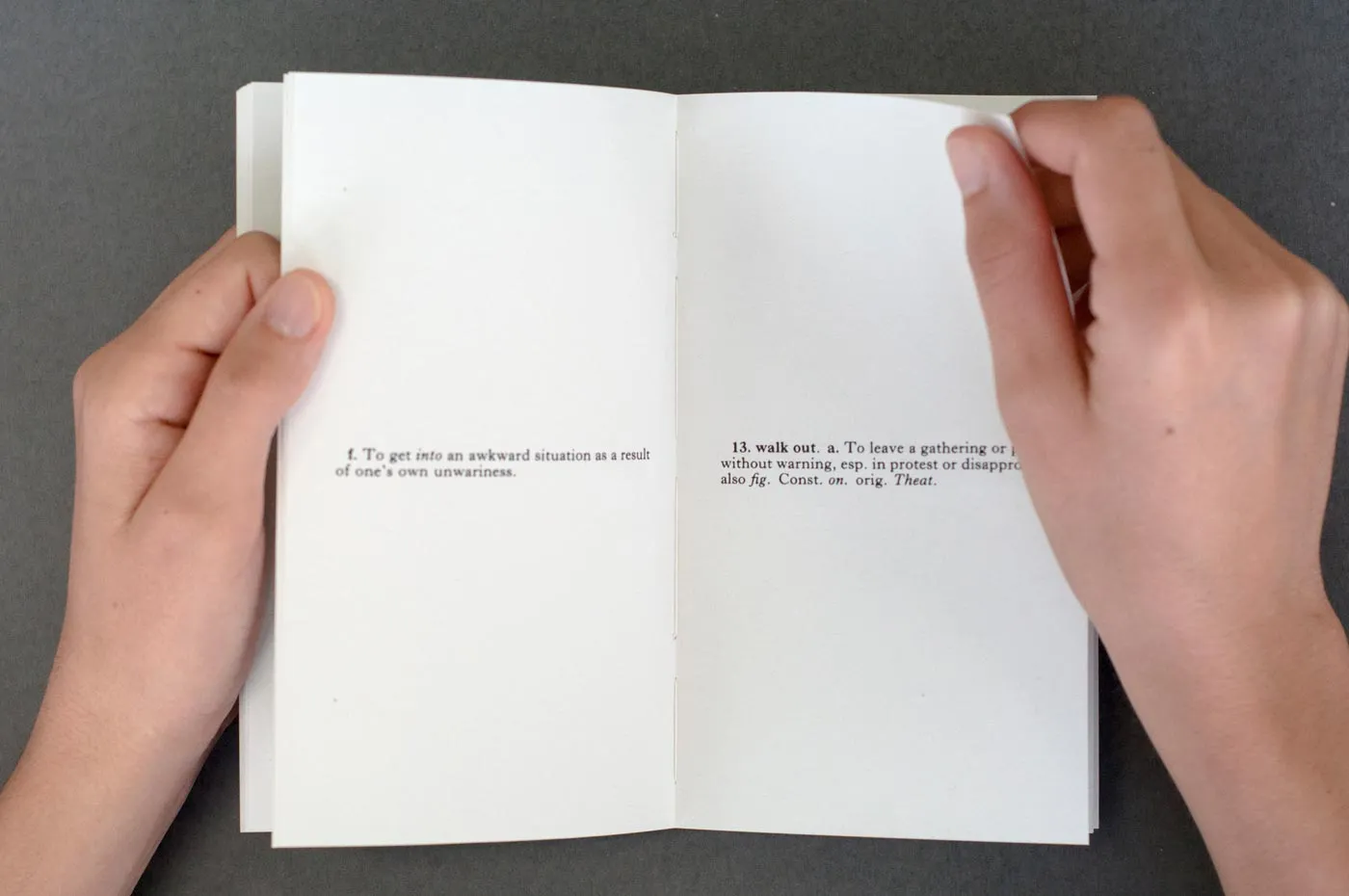 Pages from the book