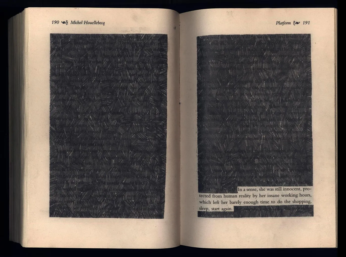 Pages from the book
