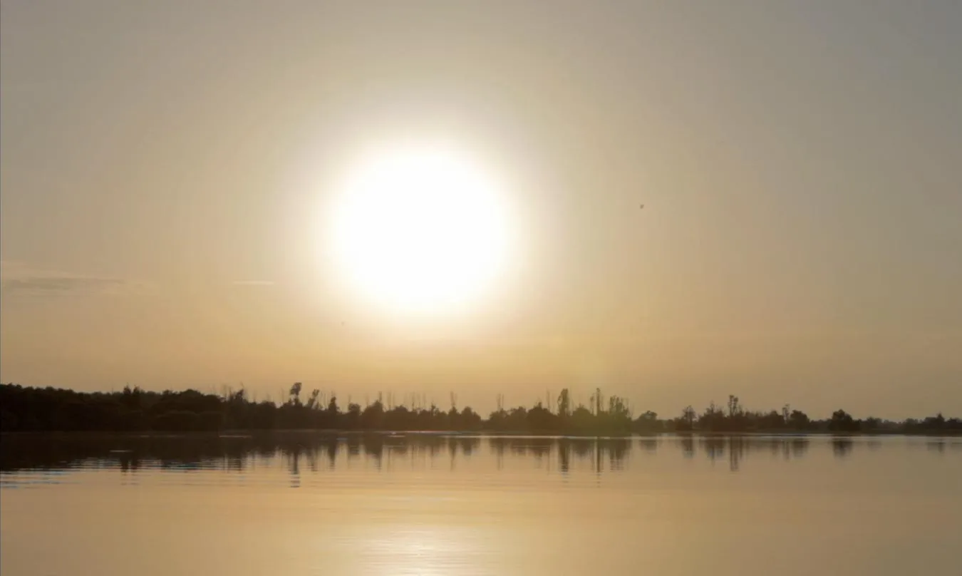 video still