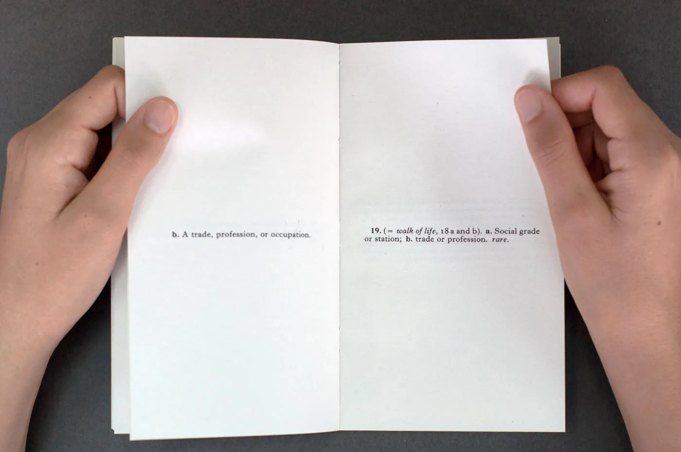 Pages from the book