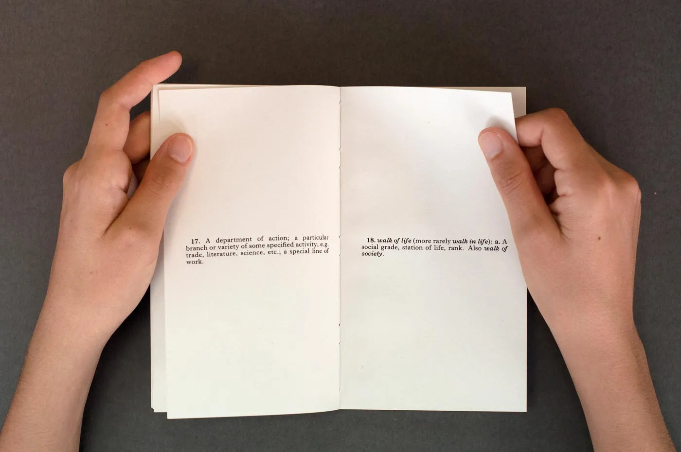 Pages from the book