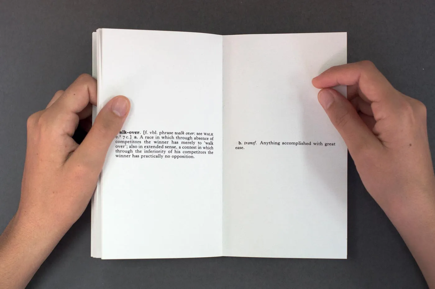 Pages from the book