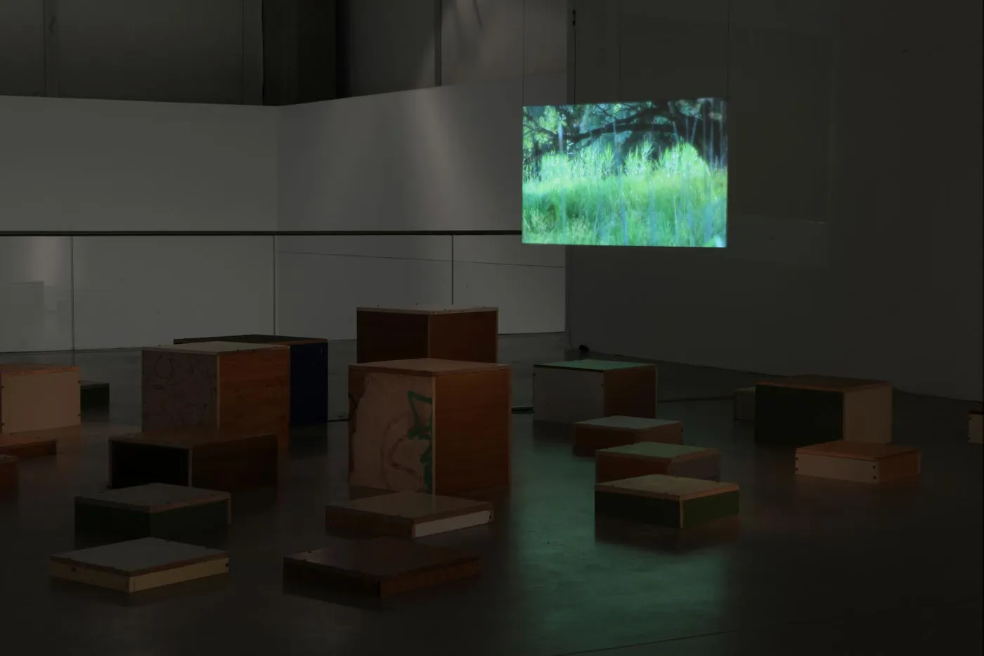 Exhibition view: ThT Award, Museum of Contemporary Art